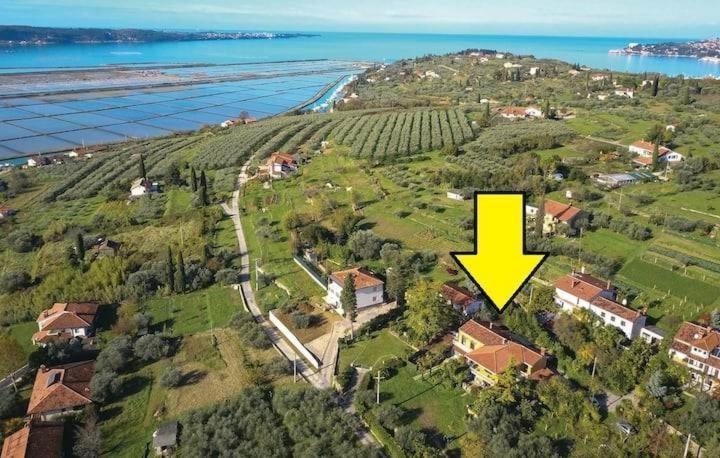 Appartamento Vista Del Sal Portorose Esterno foto